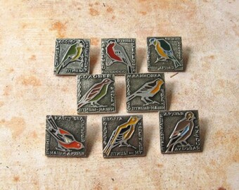 Rare Birds Pins, Birds Pins, Seal Pin, Jay Bird PIn, Flora and Fauna