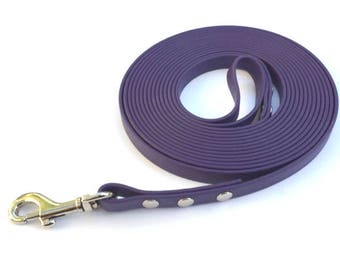 Training Lead 12mm wide 15 foot Long in Biothane® in PURPLE