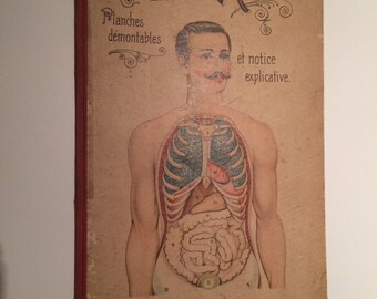 Anatomical Flapbook (1900) Le corp humain. Anatomie de l'homme