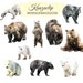Watercolor Bear Collection - Commercial and Personal Use
