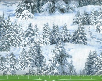 Winter Wonderland scene in the woods,Elizabeth Studio