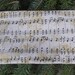 Music pencil case, zippered bag, crochet hook case, knitting notion pouch, The Deep Scribe