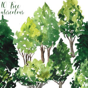 Pine tree watercolor | Etsy