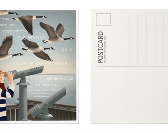 Illustrated Postcards, Postcard Set, Canada Goose Art, Animal Holiday Cards, Christmas Card Set