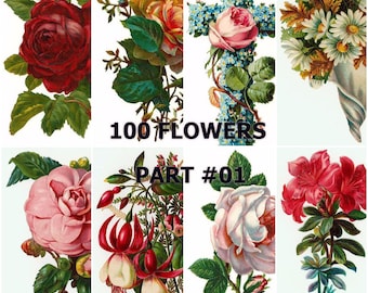 Vintage Floral Collection of 100 images ( Part #1 of #7 ) Scrapbooking Prints Cards Decoupage Collages Invites Transfers and more...