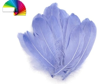 10 Decorative Goose Feathers length 15-21 cm