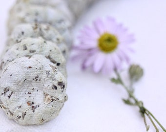Unique Practical Favors 50 Plantable Wildflower Seed Cakes Rustic Boho Garden Wedding Shower Birthday Plants