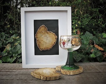 Framed petrified wood slice and petrified wood coasters, stone coasters, rock coaster