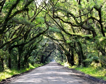 Road to Botany Bay