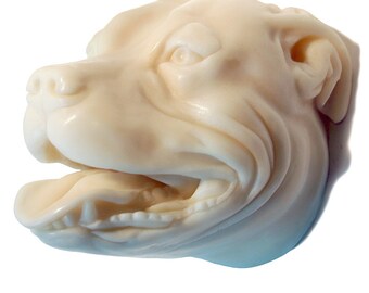Pitbull Soap