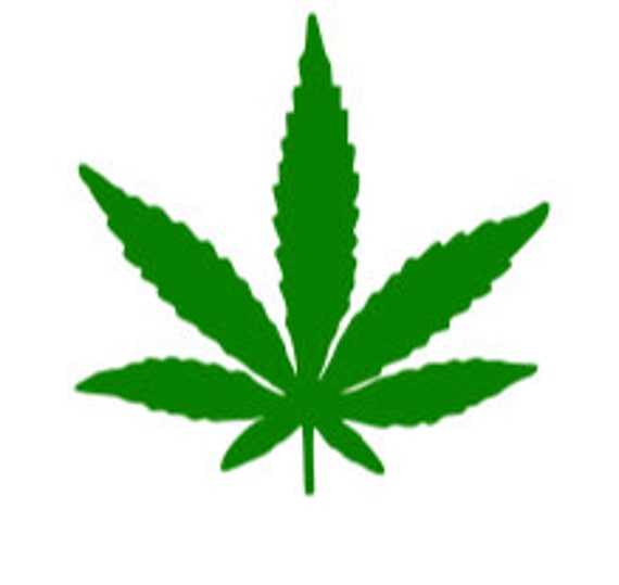 Marijuana Plant svgdxfpngjpgepsand pdf filesCannibus svg