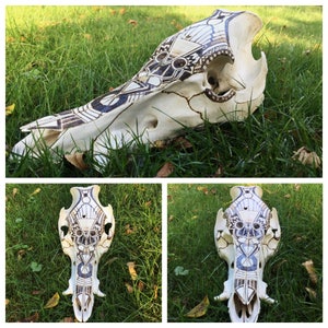 Boar pyrography skull