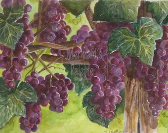 watercolor "Vineyard" watercolor art print -grapevines