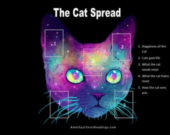Tarot Reading for your Cat