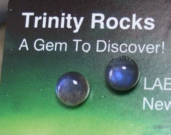 Labradorescence Exists 6mm Round Cabochon Labradorite Stud Earrings Earings Titanium Post and Clutch Flash Sparkly Magic Hypo Allergenic