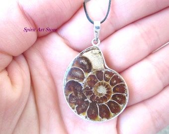 Ammonite Sterling Silver Pendant 925, Ammonite Fossil,