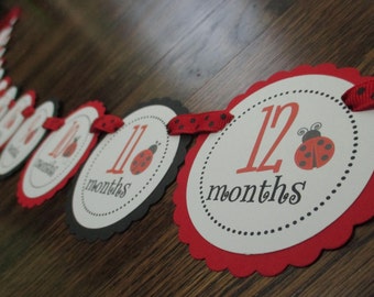 Red and Black Little Ladybug Collection Just Born/0-12 mos Banner with clips. First Birthday Photo Banner. Picture Banner. Lady Bug.