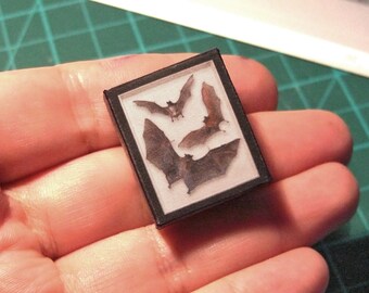 Three BATS SHADOW BOX - Specimen Case - Fake taxidermy - Oddities - Curiosities - Digital download . Tutorial - Scale 1:12 / 6th