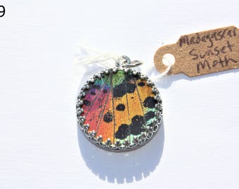 Madagascar Sunset Moth Lower Wing Necklace