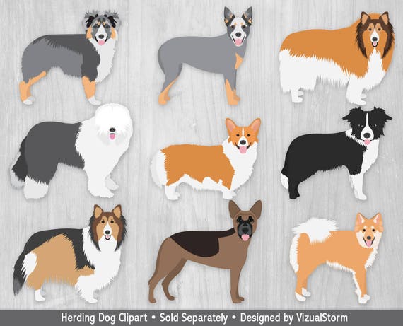 Dog Clipart Popular Dogs Breeds French Bulldog Labrador