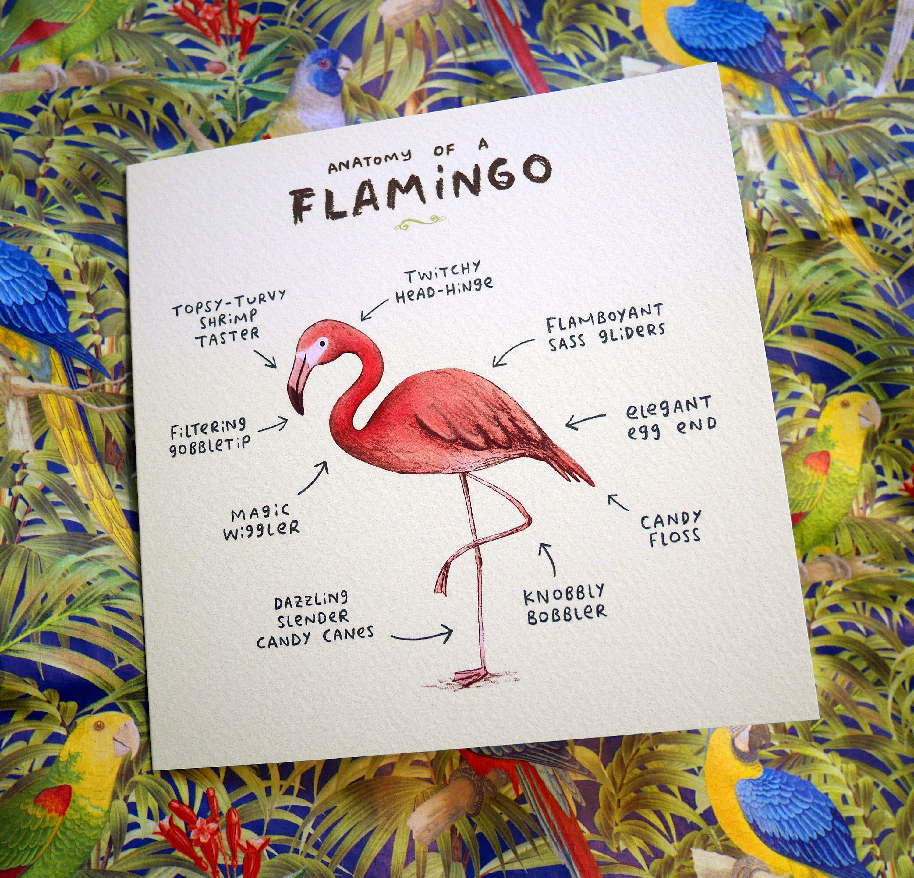 Anatomy Of A Flamingo Card