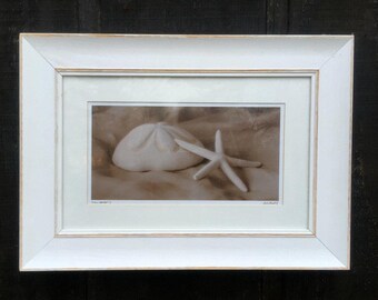 Shell Sonnet I by Judy Mandolf