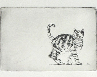 original etching of a curious walking cat