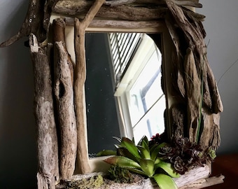 Driftwood and Succulent Mirror