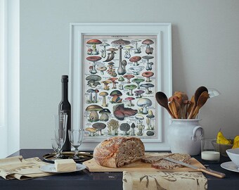 Lithography of Mushroom Species
