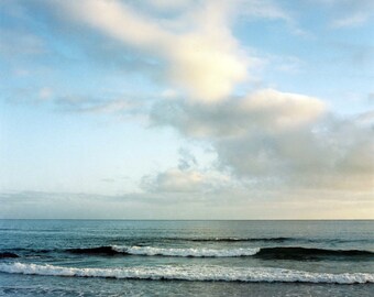 Maungawhai Heads Print