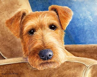Repose A Limited Edition Irish Terrier Print