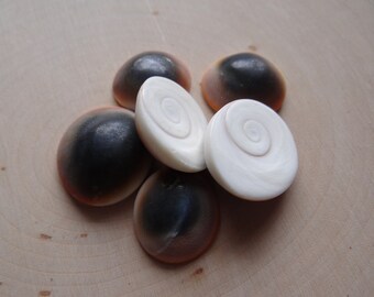 Shells for Grids * RED CAT EYE * Shells Set of 6 for Gemstone Grid Layouts