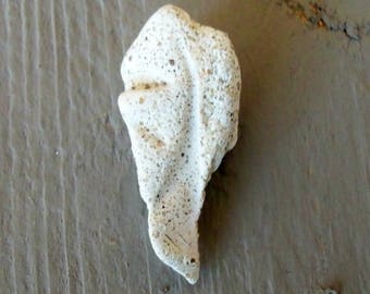 Natural Stone Pendant, Fang Pendant Beach Stone, White Tusk Pendant Beach Jewelry, Natural Tribal Pendant, Claw Pendant , Beach Necklace