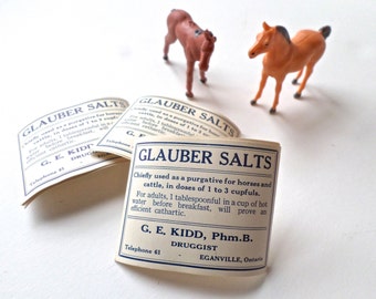 Vintage Pharmacy Labels, Vintage Veterinary Medical Labels, Horse Lover, Horse Ephemera, Pharmacy Ephemera, Labels for Mixed Media Art