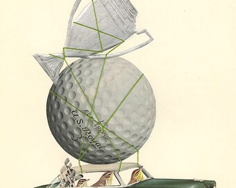 Palm warblers win big. Original collage by Vivienne Strauss