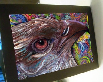 Greeting card print of original art- colorful hawk bird Zentangle
