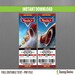 Disney Cars 3 Birthday Ticket Invitations - Instant Download and Edit with Adobe Reader - Cars 3 Birthday Party - Lightning McQueen