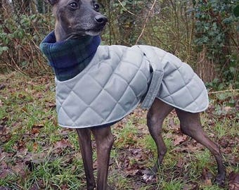 Waterproof fleece lined whippet coats in a limited edition colour