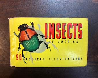 1937 Insects of America Book