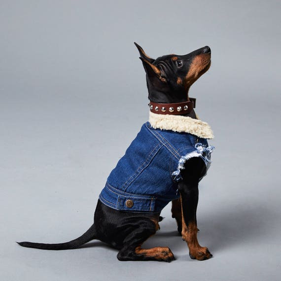 Denim Dog Vest / Dog Jacket / Sherpa Denim Dog Coat / Dog