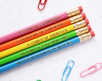 BRIGHT ANIMAL NOUNS Pencils Set. Collective Grammar Colour Stationery Gift For Him Her Thank You Teacher Back to School Present Filler Neon