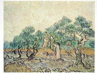 French Impressionist Art - Van Gogh - The Olive Orchard - 1977 Large Poster Sized Print 12 x 15