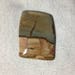 Wild Horse Picture Jasper Cabochon