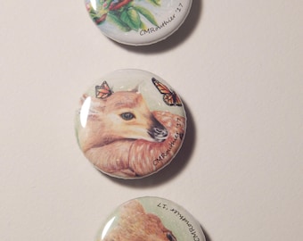 Into The Wild- Magnets- set of 3