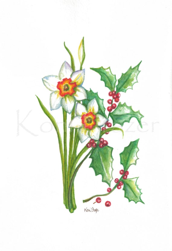 Narcissus and Holly December birthday flower original