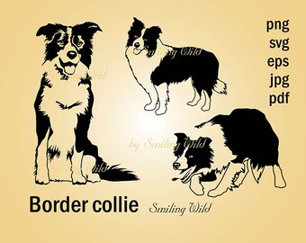 Download Collie clip art | Etsy