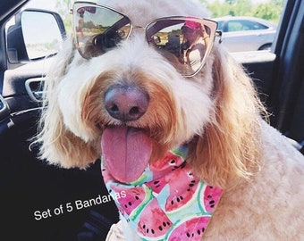 Dog Bandanas, set of 5, Free Shipping in the US, Snap close Bandana, Cute collar, Dog accessories, Dog bandana, cute dog bandanas