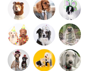 Funny Dogs Bottlecap Images - 4x6 Digital Collage Sheet - 1 inch Bottle Cap Images - Instant Download
