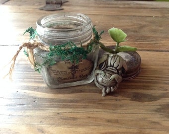 Little Mandrake root in the jar, Mandragora. Polymerclay, Hand Made!