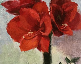 Red Amaryllis